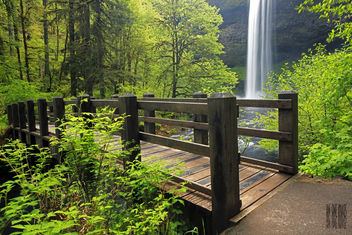 South Bridge - Free image #285991